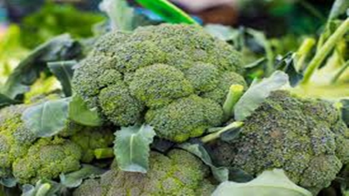 Unique broccoli to defeat the deadly disease cancer!