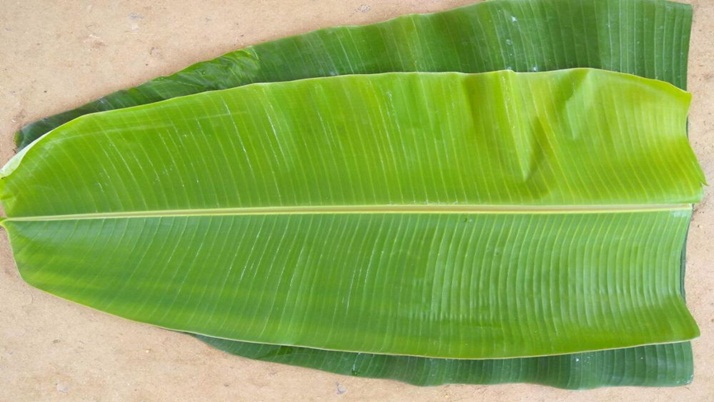 Banana leaves are beneficial for the skin, if you do not know, let 's know