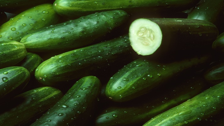 Control of various diseases including acidity by cucumber