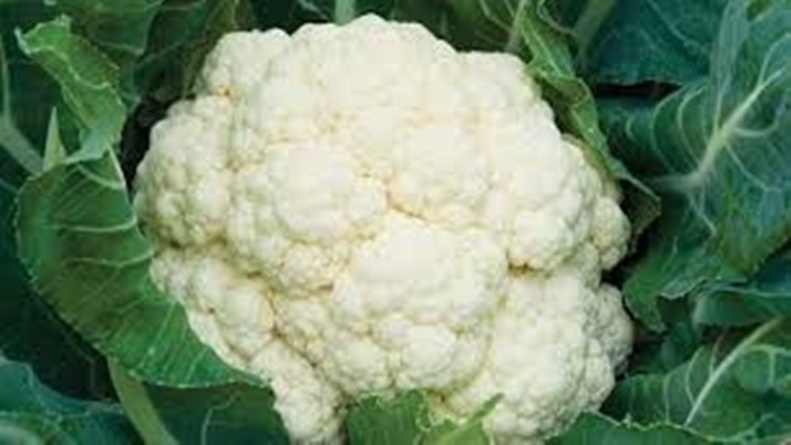 Cauliflower is perfect for disease prevention, if you don't know, find out!