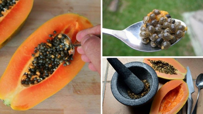 The amazing quality of papaya seeds, will get rid of many diseases