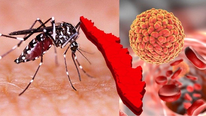 Zika virus is spreading panic