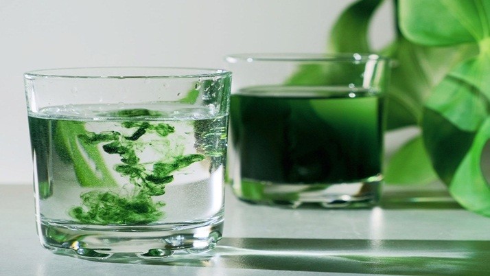 Infallible chlorophyll to increase immunity