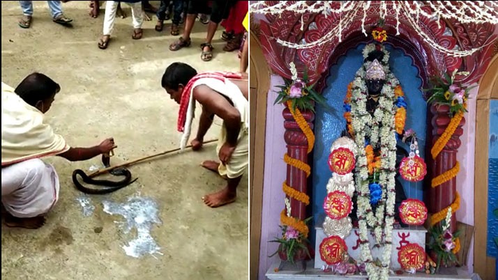 Residents of seven villages in East Burdwan worship the living 'Jhankalai' snake of Keute species