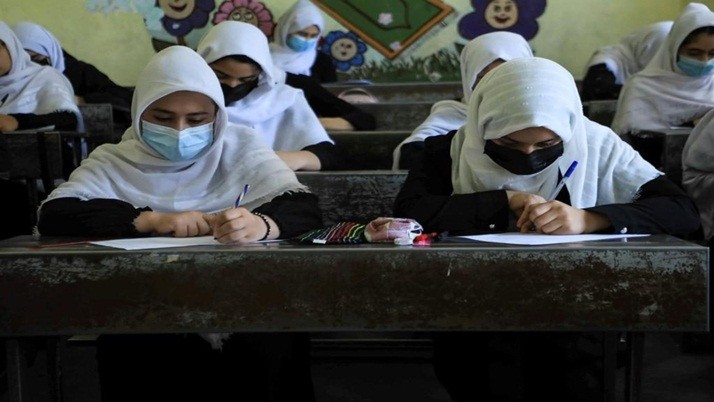 Taliban: Taliban fatwa issued in Herat educational institution