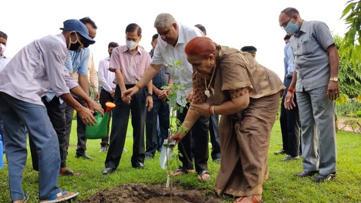 Plantation: Governor's tree planting on Modi's birthday