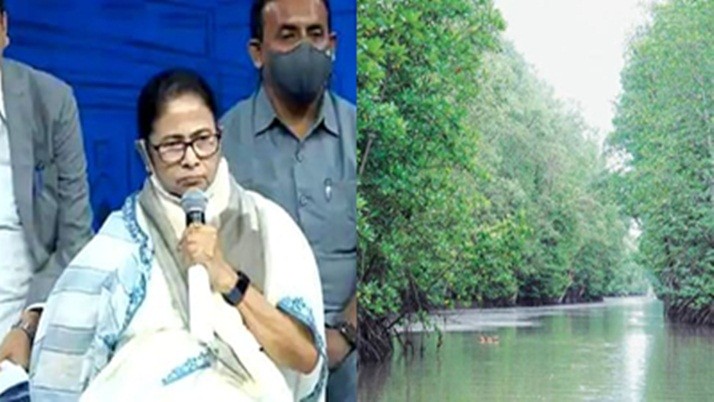 Sundarban: Mamata directs to make Sundarbans a separate district immediately