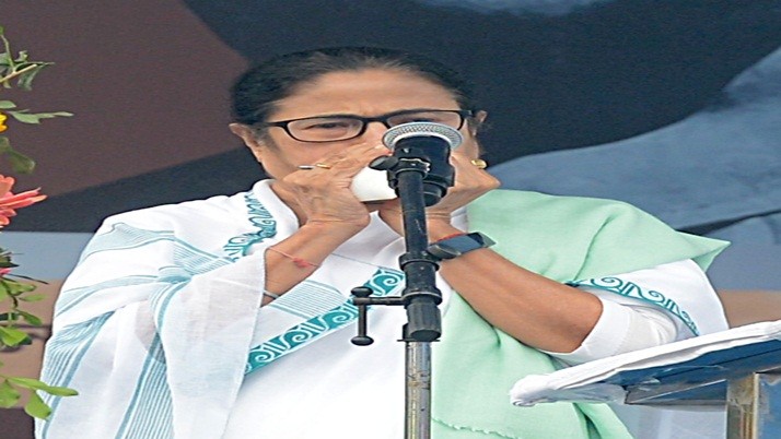 Mamata announced the formation of a separate planning commission in the state in memory of Netaji