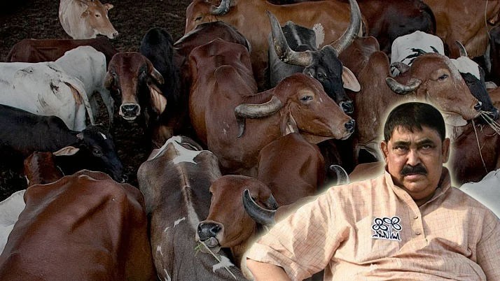 Accountant of Anubrata Mandal arrested in cow smuggling investigation