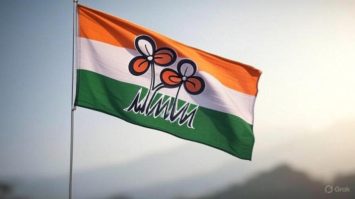 Tmc leader accused of attempting to grab land in Sonarpur