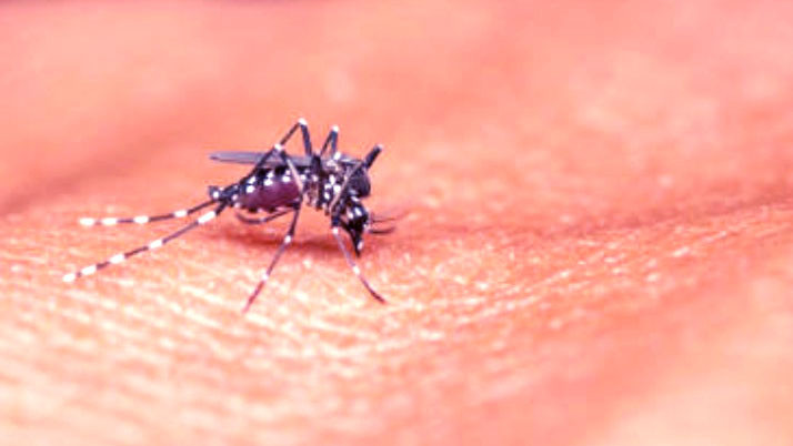 Dengue cases in Kolkata on the rise, hospital admissions on the rise!