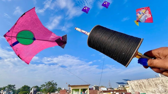 The scent of Poush in rural Bengal: Pitha, kites, and the festival of folk life.