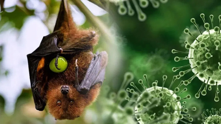 nipah-virus-first-death-in-west-bengal-barasat-nurse