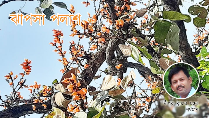 Blurred Palash, a unknown spring, a small story