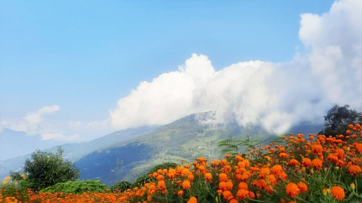 durgapuja offbeat travel destinations west bengal